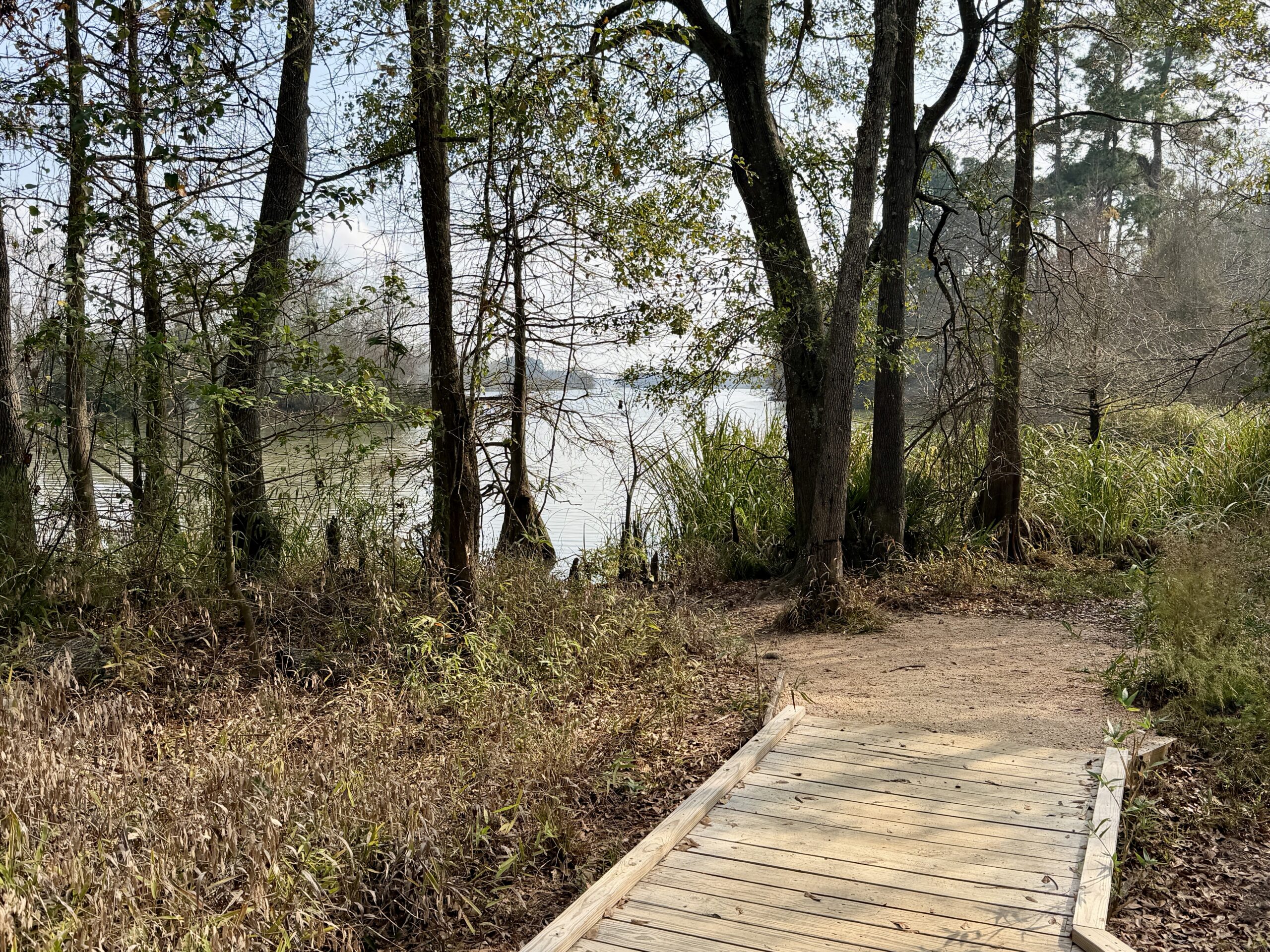 Kingwood, TX service area